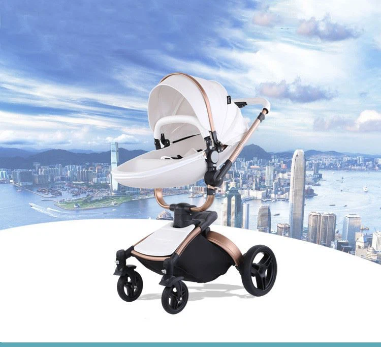 baby stroller system
